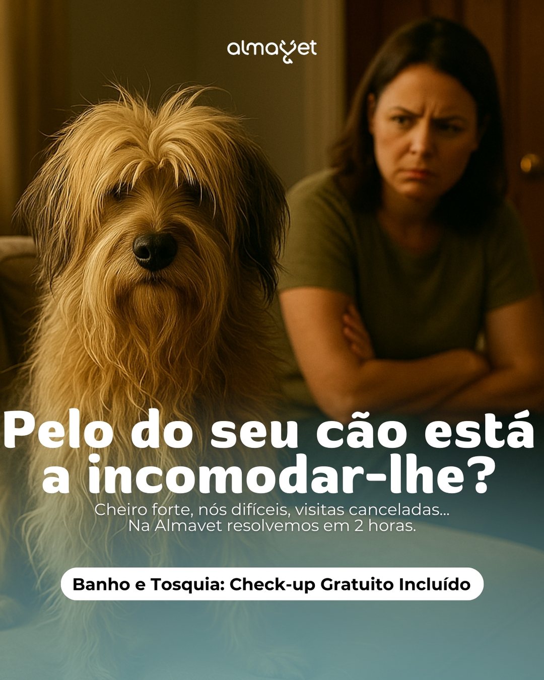 AlmaVet, clínica veterinária